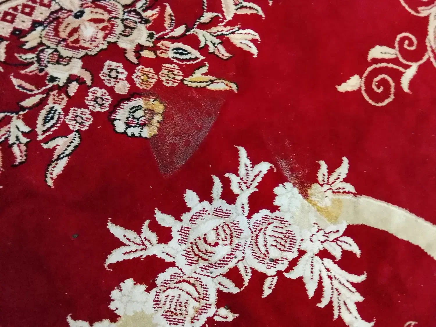 فروش فوری فرش|فرش|اقبالیه, |دیوار