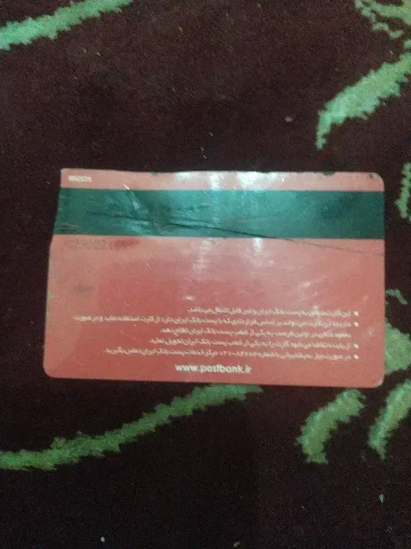 مدارک گمشده|اشیا|برازجان, |دیوار