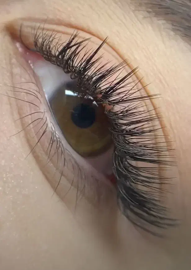 اکستشن مژه فریال|خدمات آرایشگری و زیبایی|فولادشهر, B7|دیوار