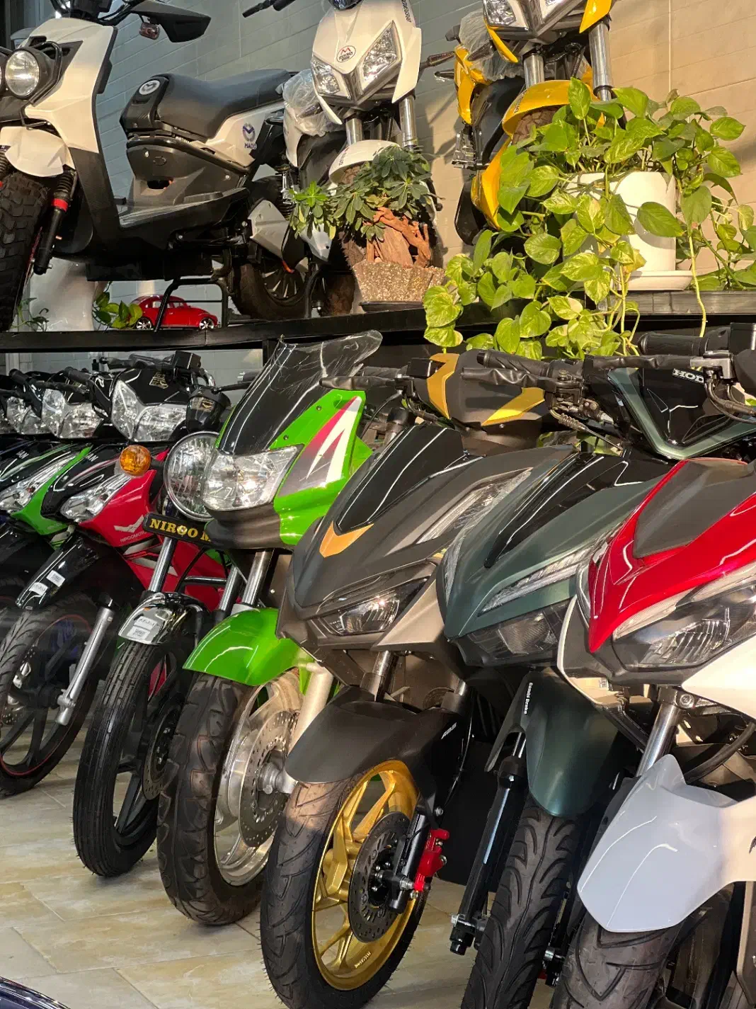 فروش ویژه موتور سیکلت دم قسط۲۴ماه|موتورسیکلت|حمیدیا, |دیوار