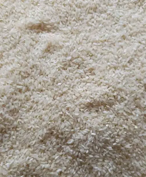 خشک بارخوارکی|عمده‌فروشی|شیراز, زند|دیوار