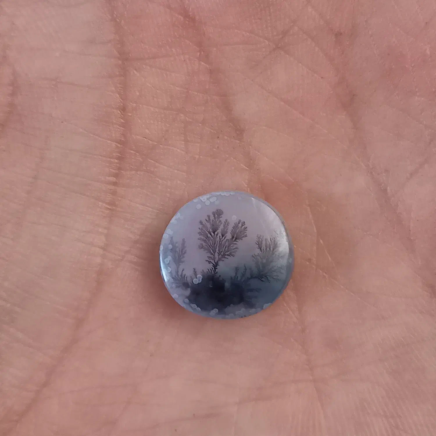 شجر قائنات|جواهرات|قائن, |دیوار