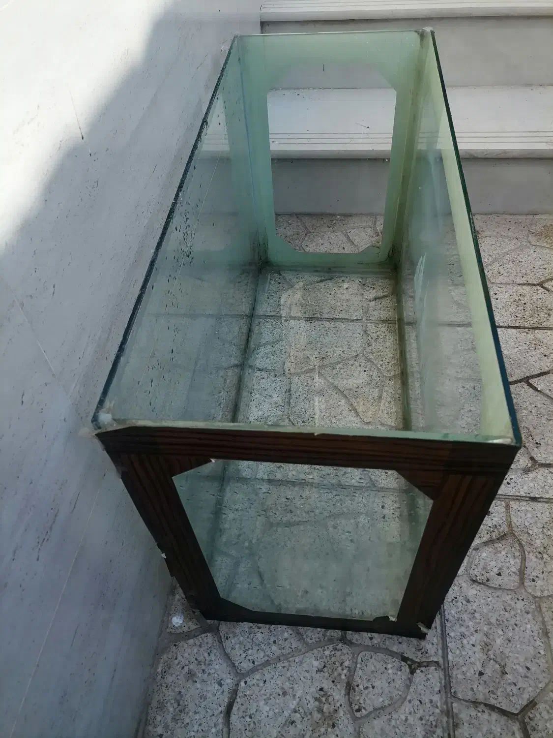 آکواریوم|ماهی|یزد, |دیوار