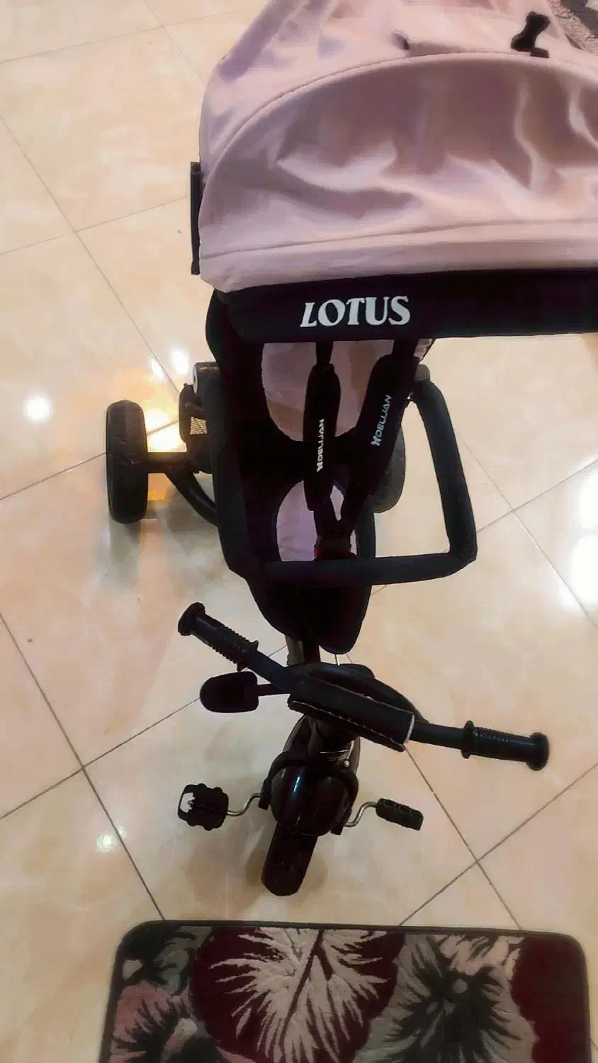 چرخ/ سه چرخه|دوچرخه، اسکیت، اسکوتر|اصفهان, خانه اصفهان|دیوار