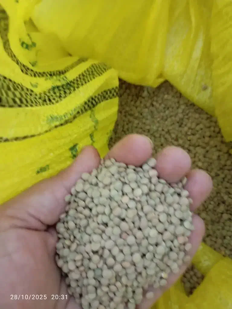 لپه محلی قابلمه پزباقیمت خیلی مناسب|خوردنی و آشامیدنی|شیراز, شهرک ترکان|دیوار