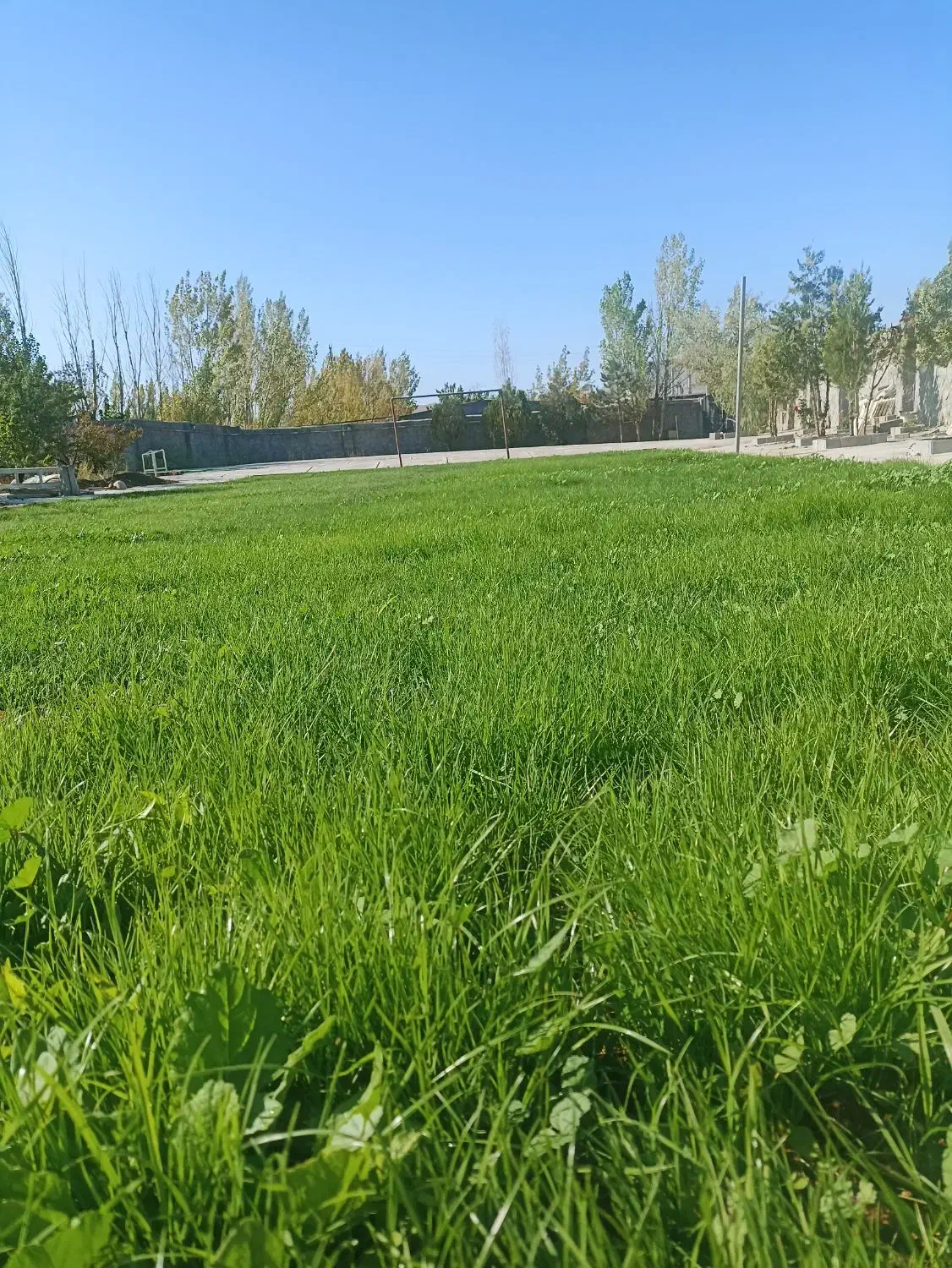 خدمات فضای سبز و باغبانی (کاشت چمن،سم پاشی،چالکود)|خدمات باغبانی و درختکاری|تبریز, |دیوار