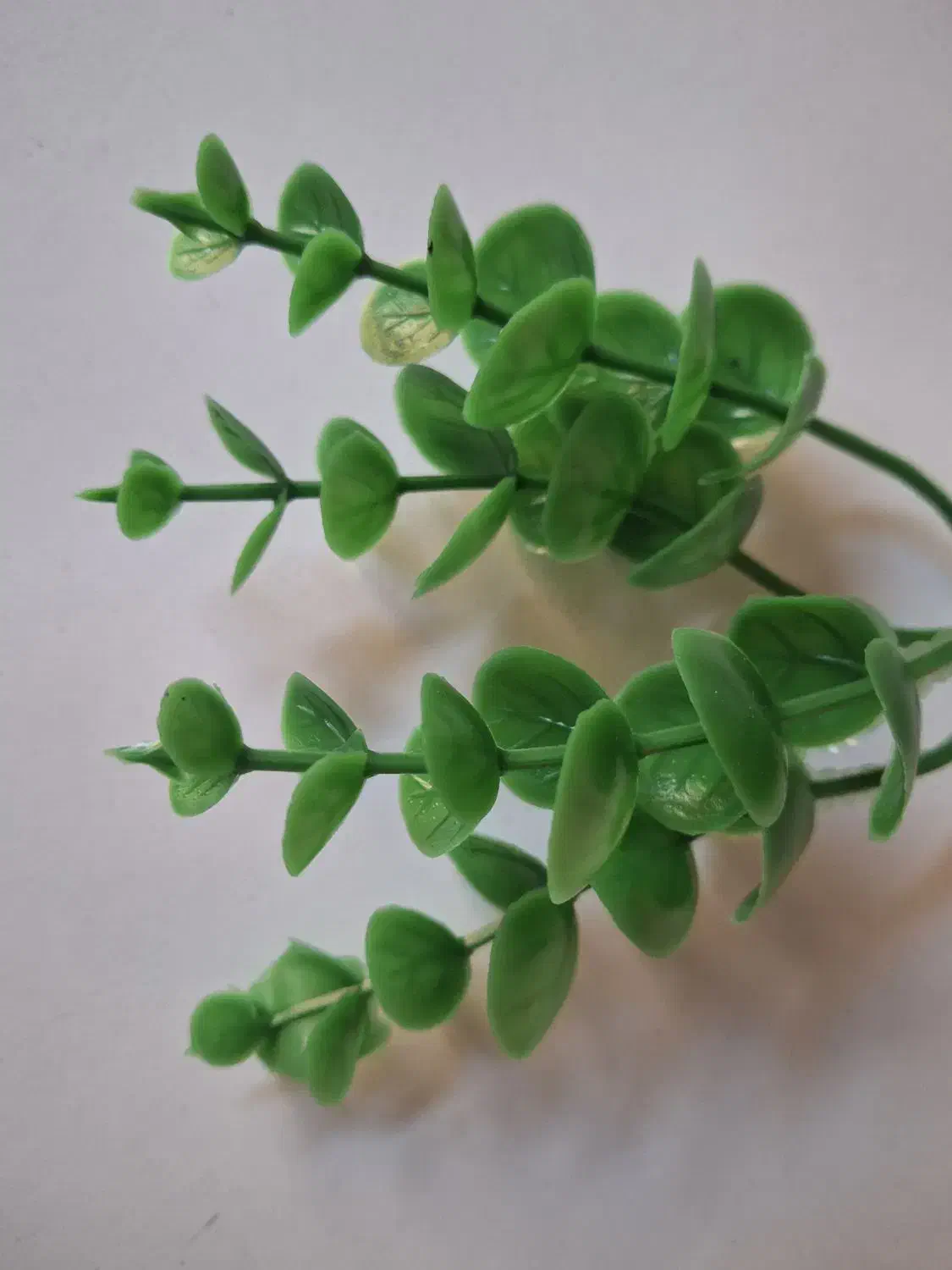 برگ مصنوعی شمشاد|گل مصنوعی|تنکابن, |دیوار