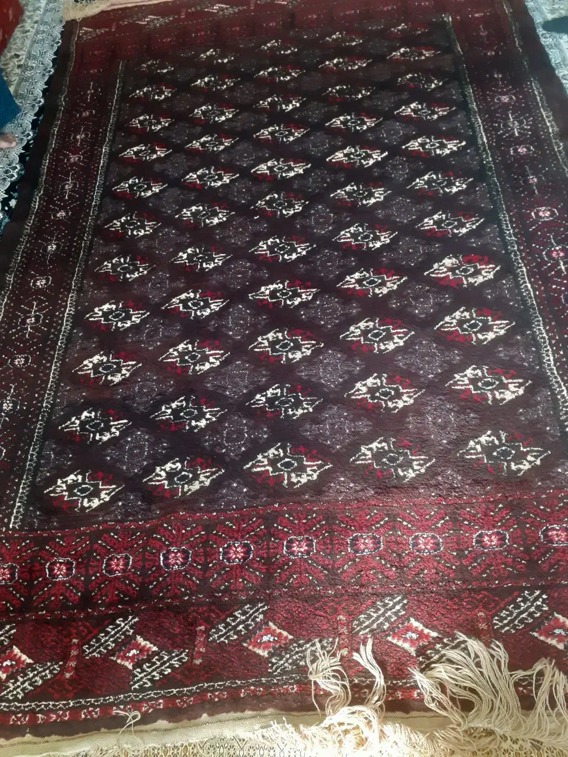 فرش ترکمنی پشم با ۶۰ سال سابقه|فرش|تاتار علیا, |دیوار