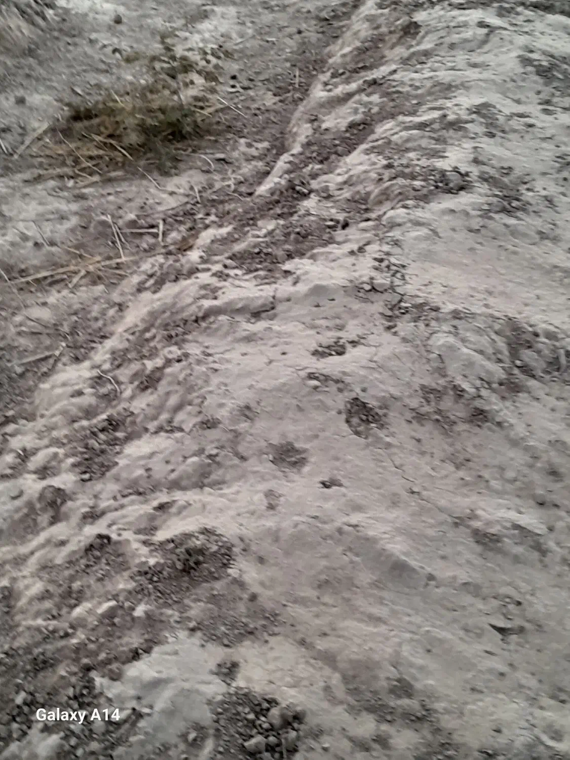 یک قواره زمین روستایی|فروش زمین و ملک کلنگی|گرمسار, |دیوار