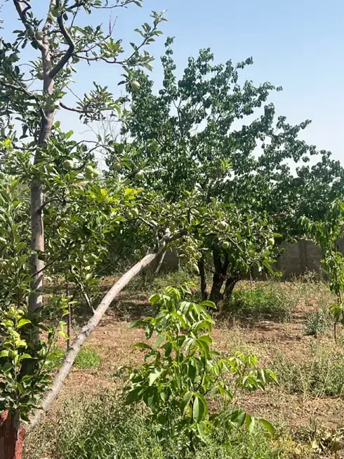 فروش زمین ۵۰۰ متری در جابان|فروش زمین و ملک کلنگی|دماوند, گیلاوند|دیوار