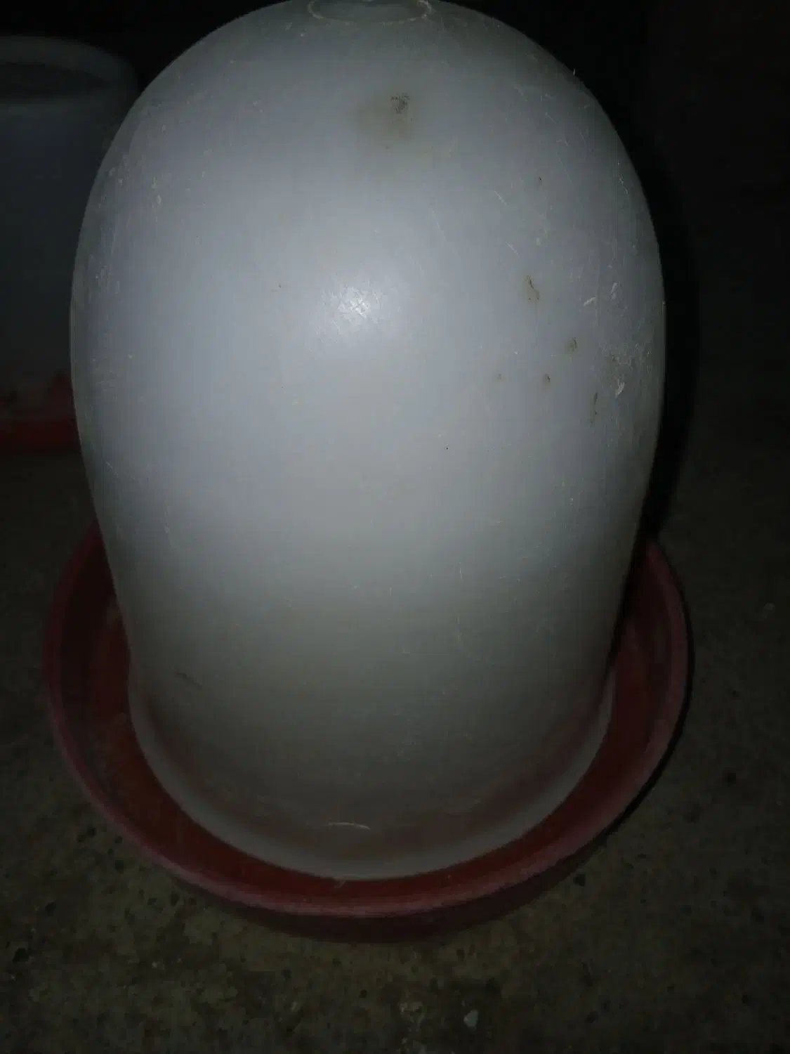 آبخوری جوجه|لوازم جانبی حیوانات|کن, |دیوار