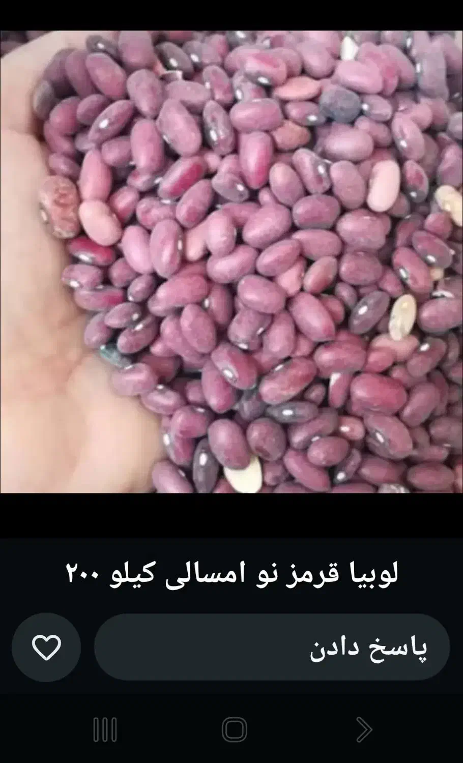 لوبیا|خوردنی و آشامیدنی|شیراز, شهرک برق|دیوار