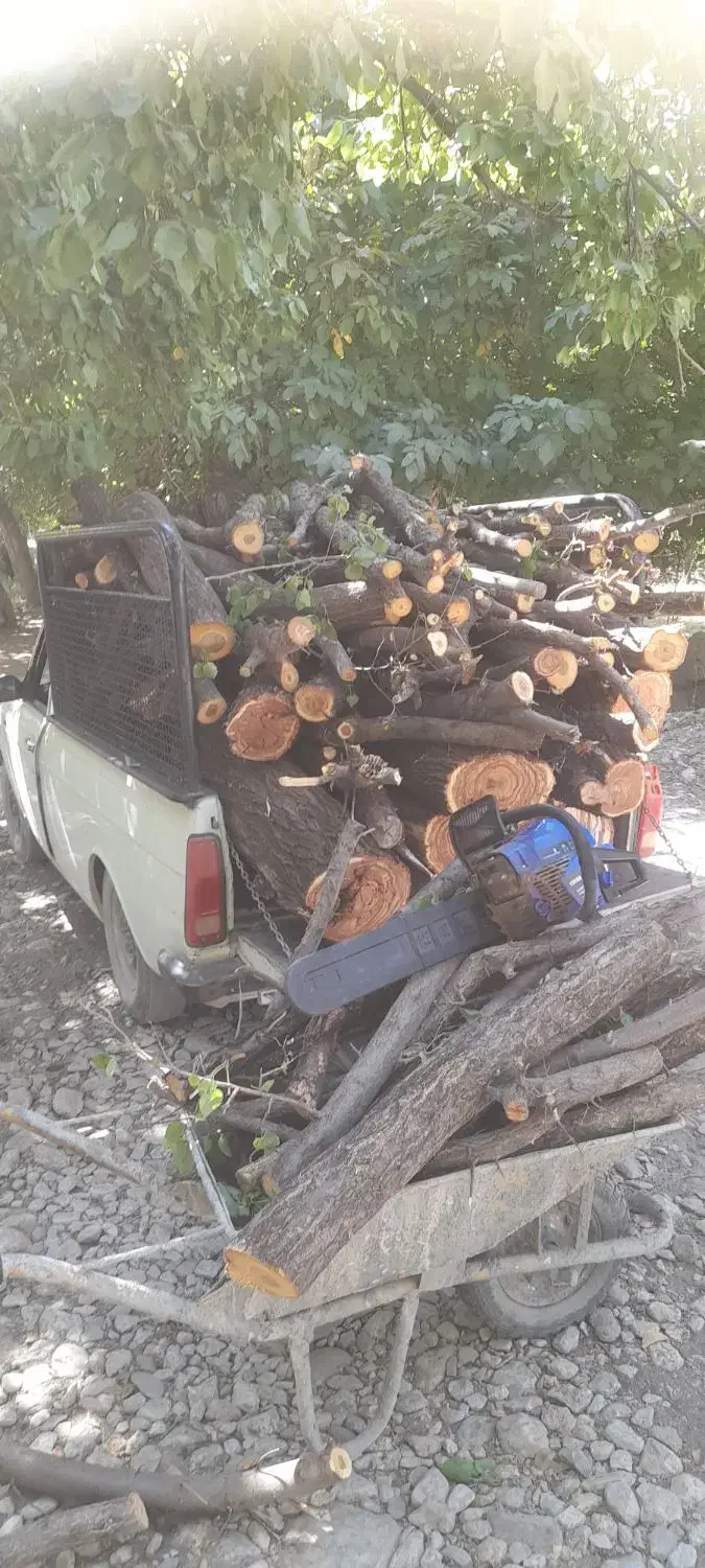 هرس حرفه ایی چوب و خرید|خدمات باغبانی و درختکاری|گلپایگان, |دیوار