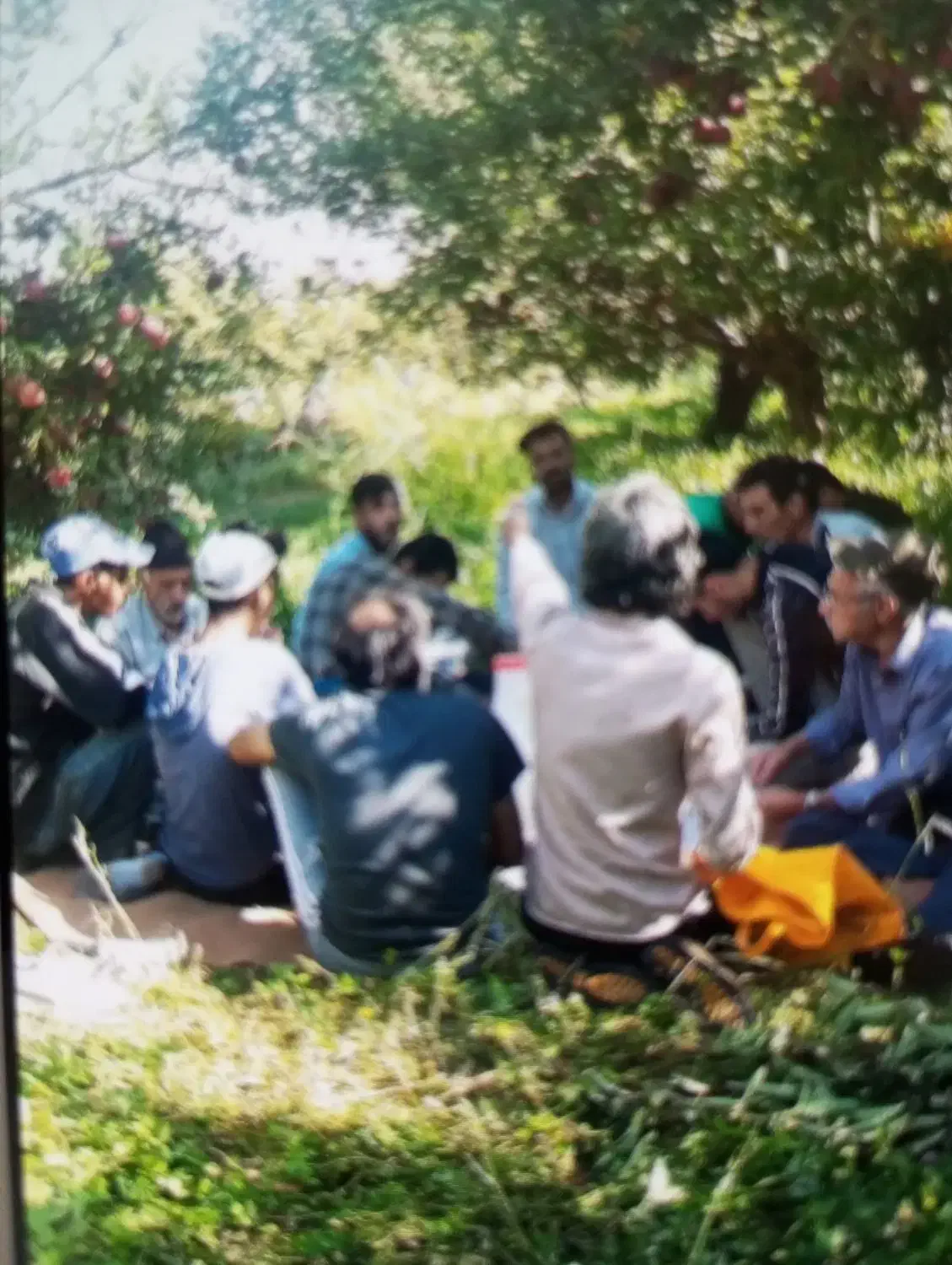 اکیپ کارگر داریم برای باغ و مزرعه|خدمات باغبانی و درختکاری|بروجرد, |دیوار