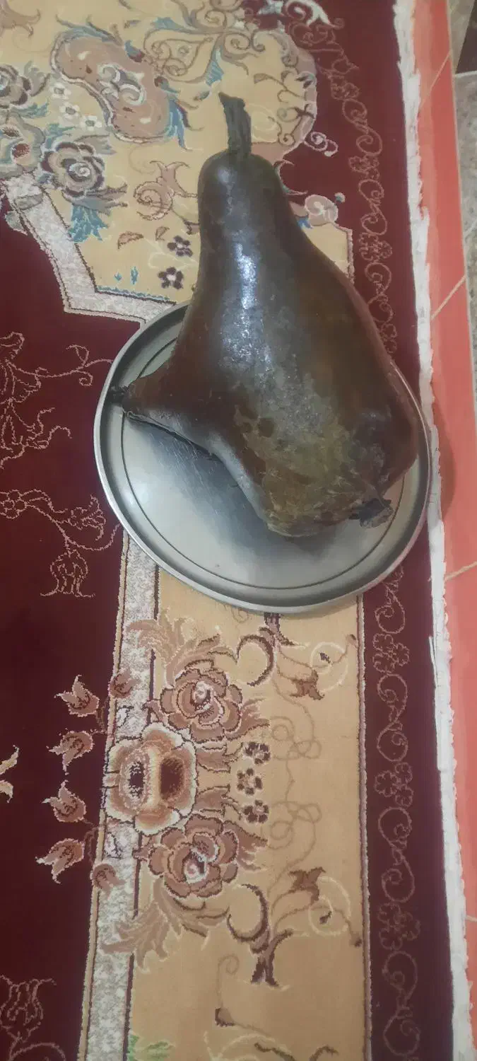 هیزه های نو وسالم|ظروف نگهدارنده، پلاستیکی، یکبارمصرف|نورآباد, |دیوار