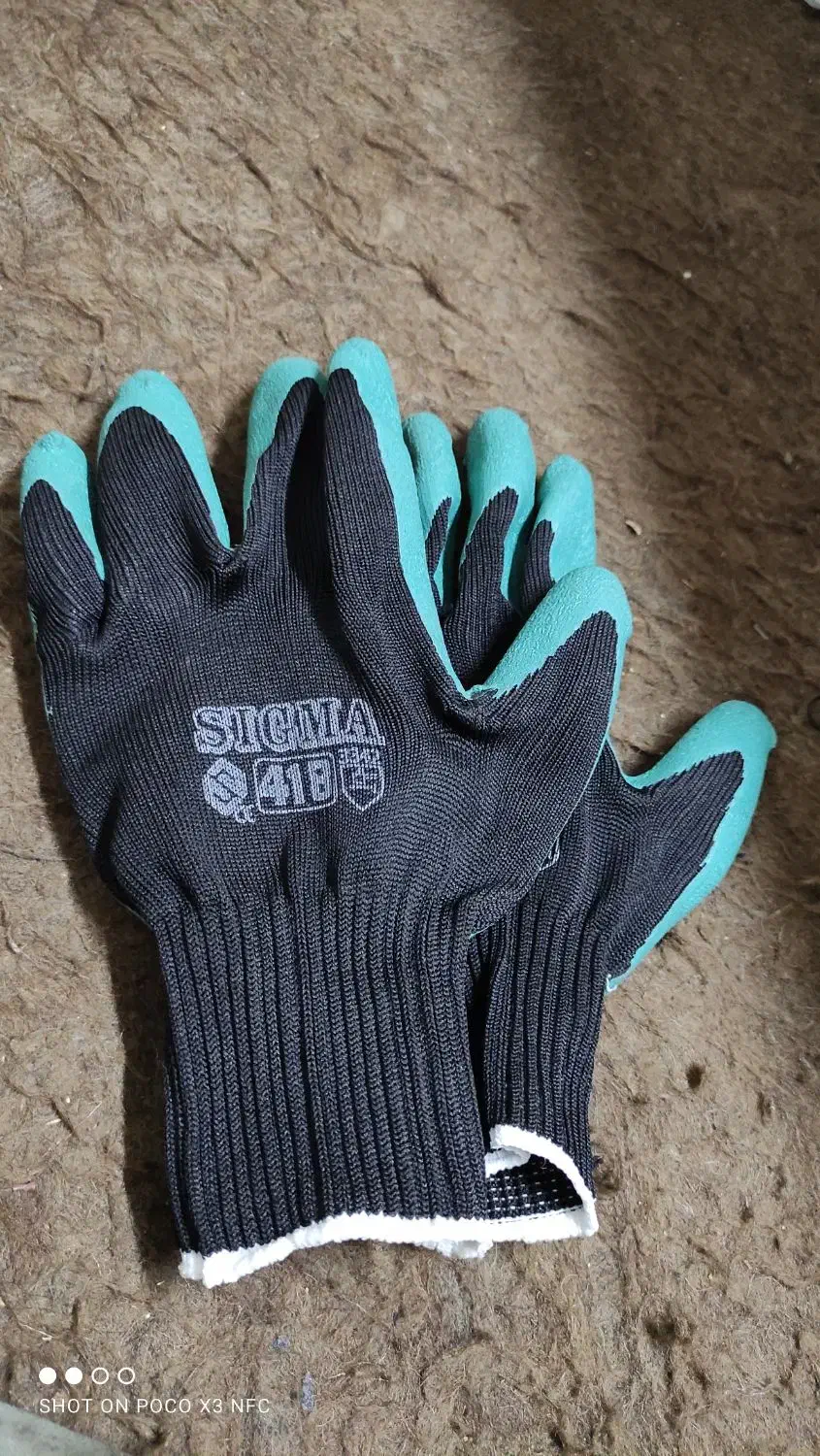 دست کش و کفش ایمنی|لباس|ساوه, |دیوار