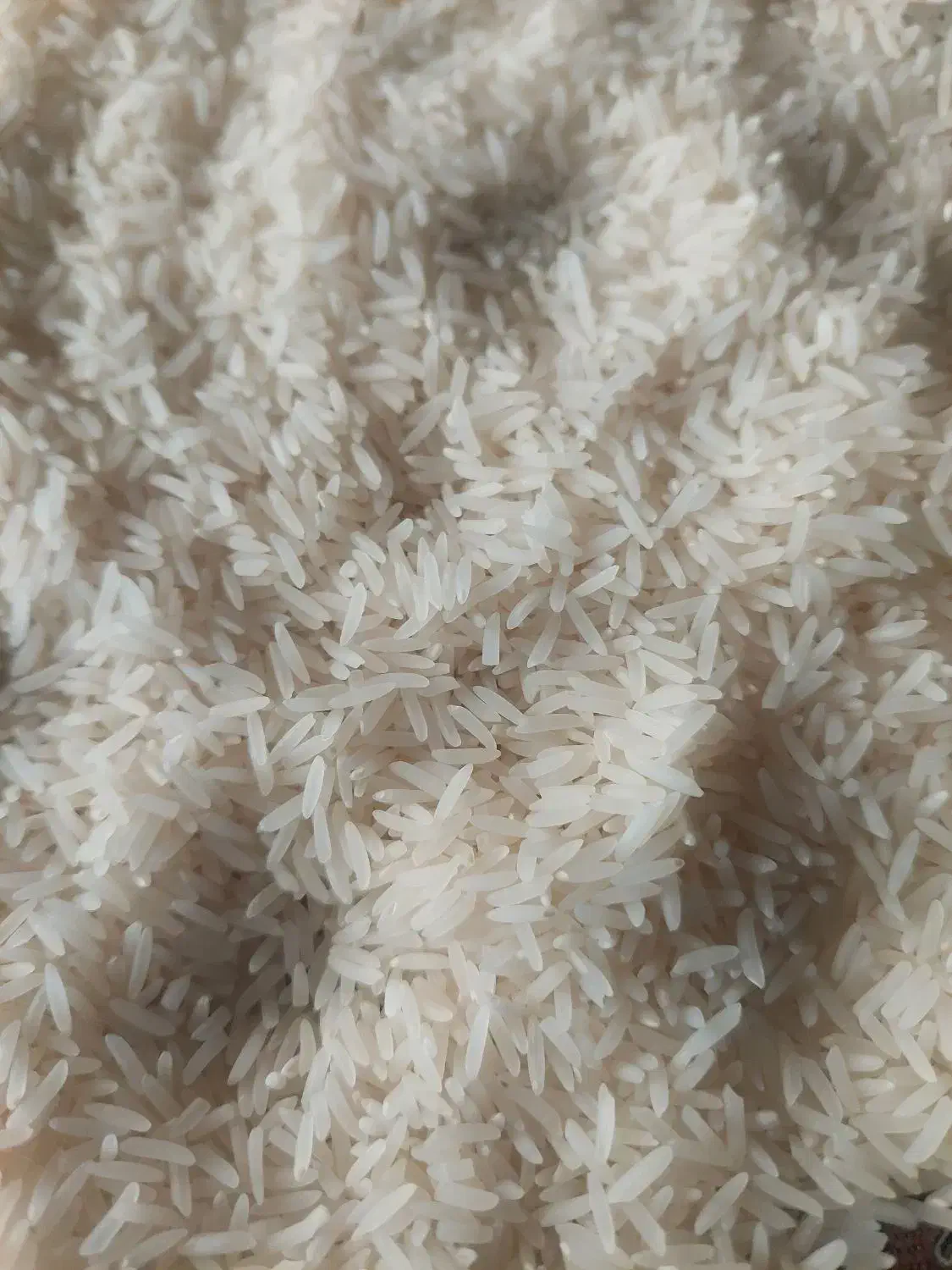 فجردرجه یک۹۰روز۰|خوردنی و آشامیدنی|مزرعه کتول, |دیوار