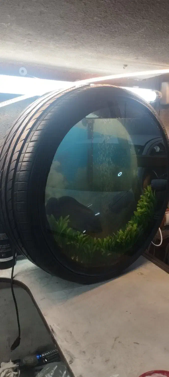 آکواریوم طرح لاستیک|ماهی|همدان, |دیوار