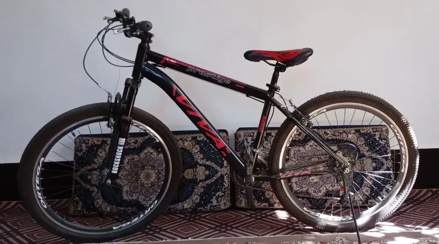 دوچرخه|دوچرخه، اسکیت، اسکوتر|میان ولایت, |دیوار