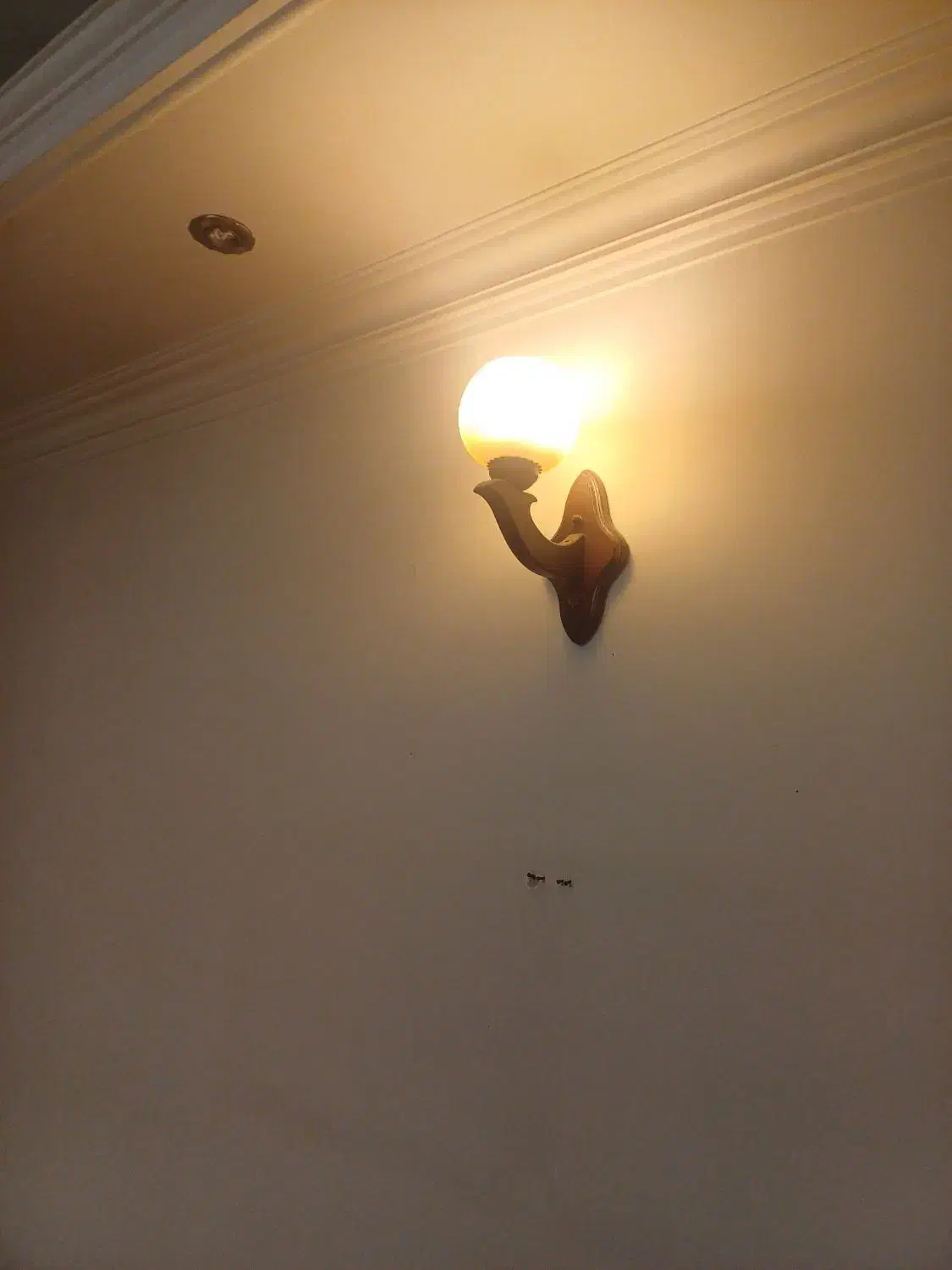 لوستر چوبی|لوستر و چراغ آویز|تهران, باغ فیض|دیوار