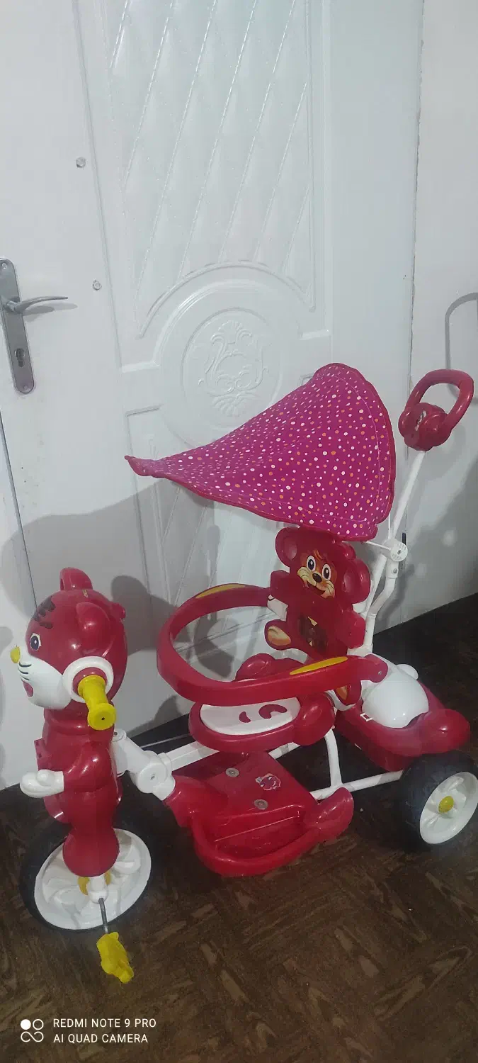 سه چرخه|دوچرخه، اسکیت، اسکوتر|اردبیل, |دیوار