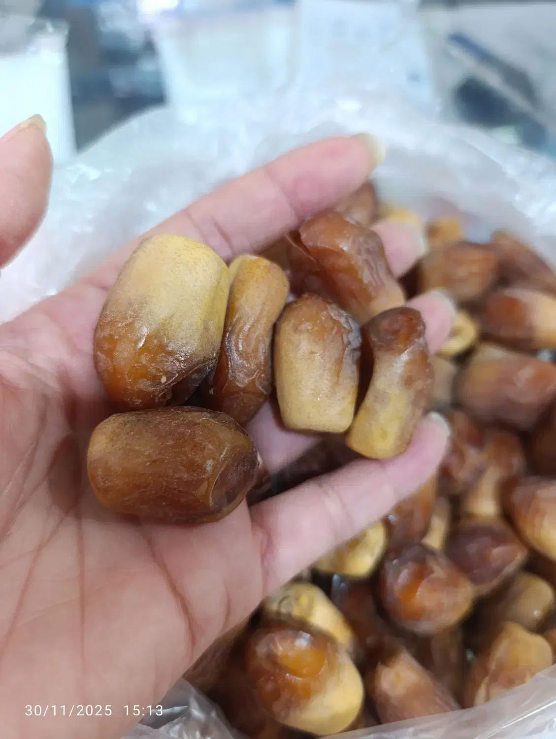 قصب بشرط نرمی وتازگی|خوردنی و آشامیدنی|شیراز, شاپورجان|دیوار