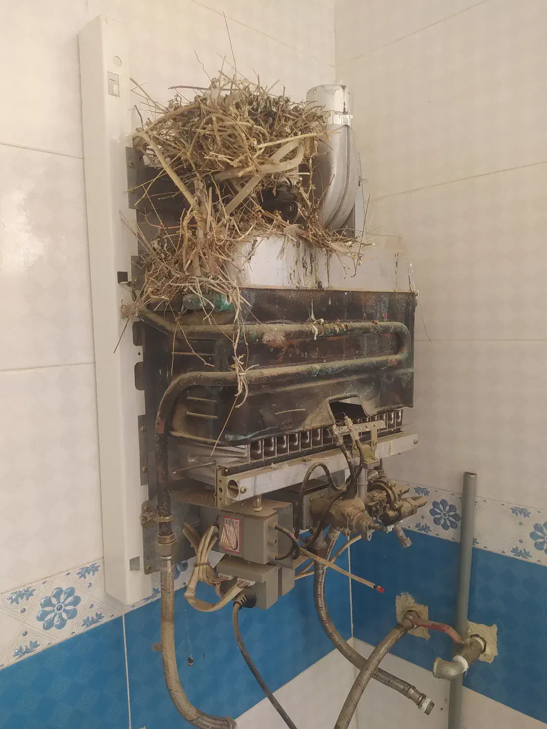 تعمیر و سرویس پکیج و کولر گازی تخصصی|خدمات پیشه و مهارت|شهرضا, |دیوار