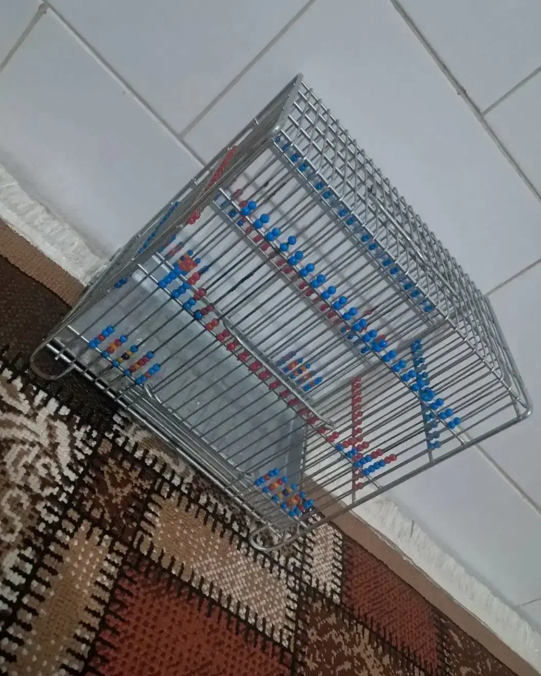 قفس|لوازم جانبی حیوانات|یزد, |دیوار