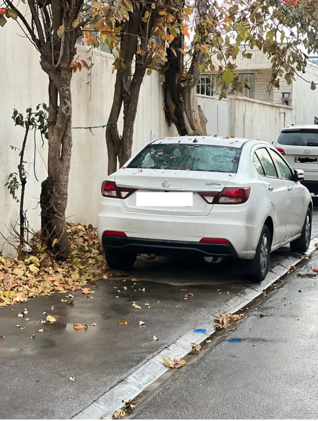 شاهینCVT|خودرو سواری و وانت|کازرون, |دیوار