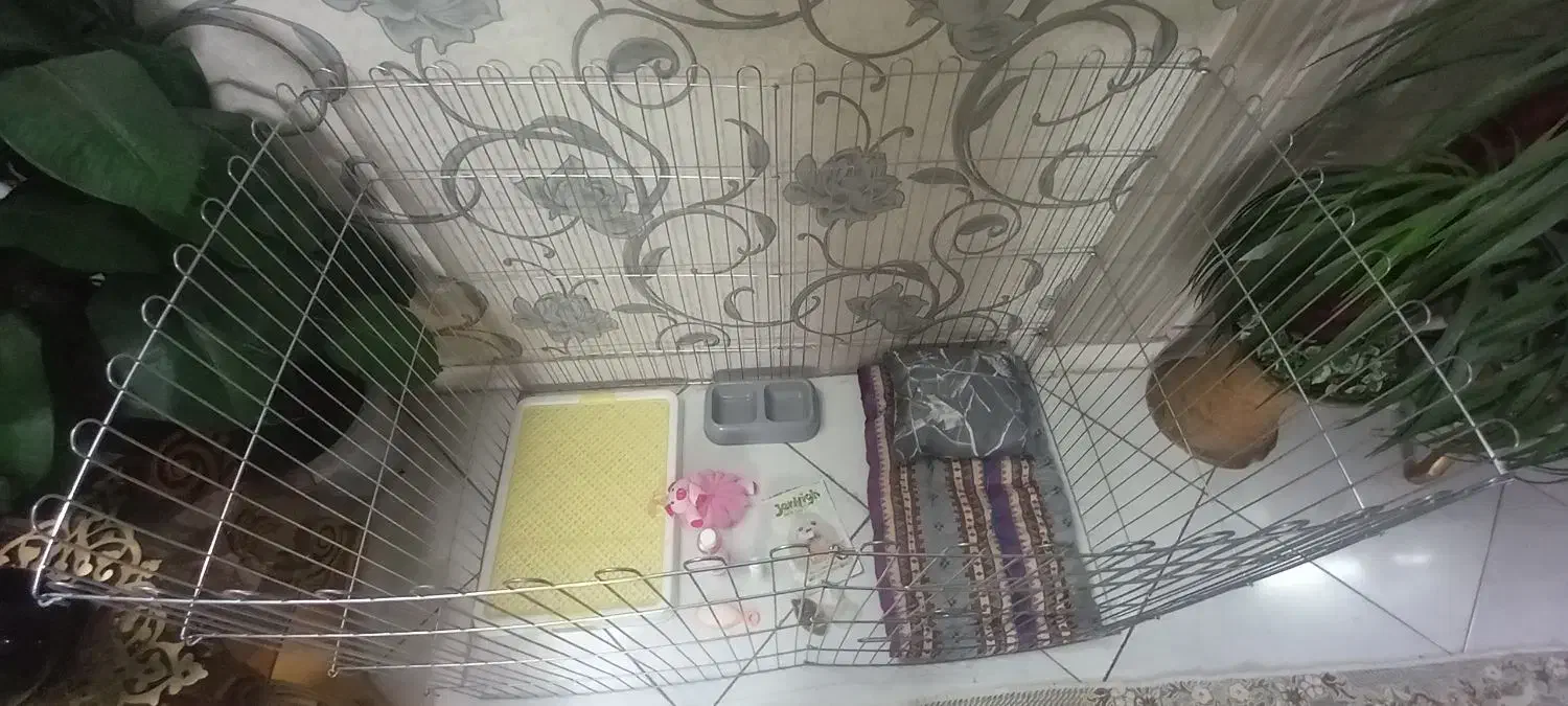 فنس. یاپارک بازی سگ|لوازم جانبی حیوانات|مشهد, ایثار|دیوار