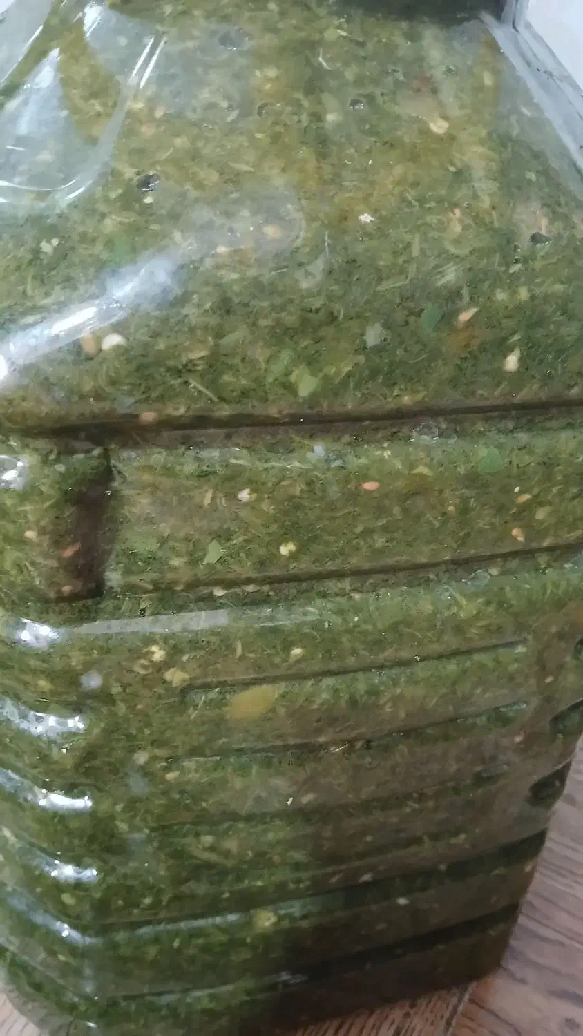 ترشی چکنی افغانستان|خوردنی و آشامیدنی|مشهد, رده|دیوار