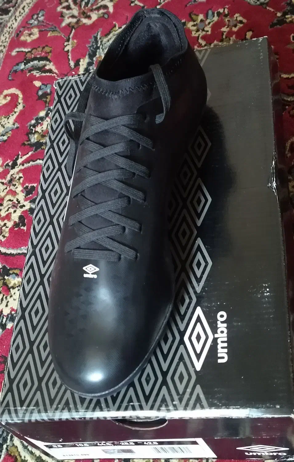 کفش ورزشی|کیف، کفش، کمربند|دوگنبدان, |دیوار