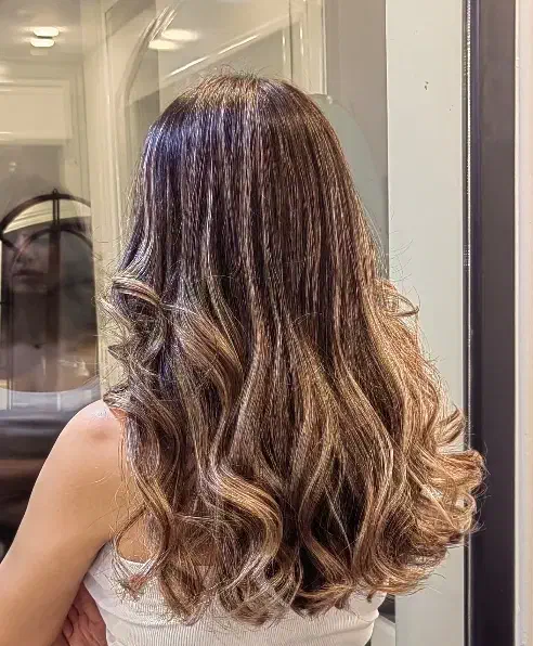 نیازمند مدل در زمینه رنگ مو|خدمات آرایشگری و زیبایی|رشت, گلسار|دیوار