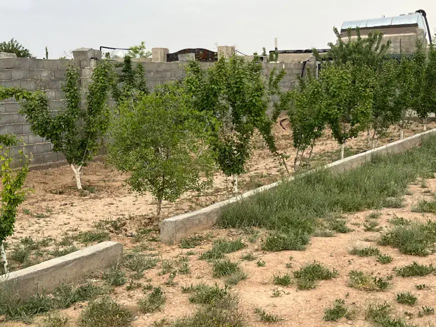 باغ۵۶۸متری تخفیف ویژه حرفه ای فرصت طلایی کم نظیر|فروش زمین و ملک کلنگی|مشهد, عبادی|دیوار