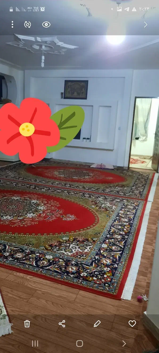 چند تخته فرش بسیار تمیز، نو و شیک|فرش|نورآباد ممسنی, |دیوار