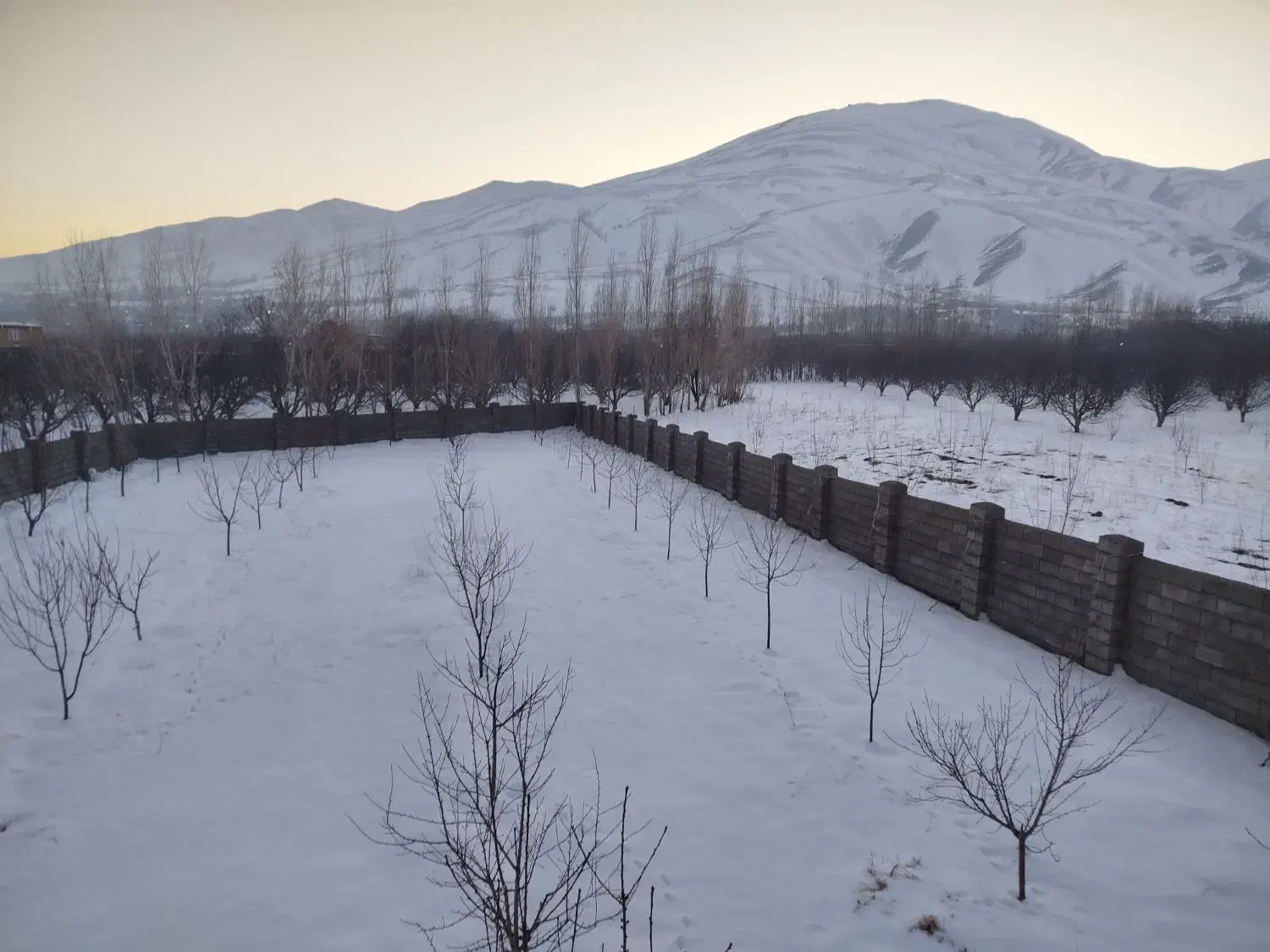 زمین مرغوب راژان|فروش زمین و ملک کلنگی|سیلوانه, |دیوار