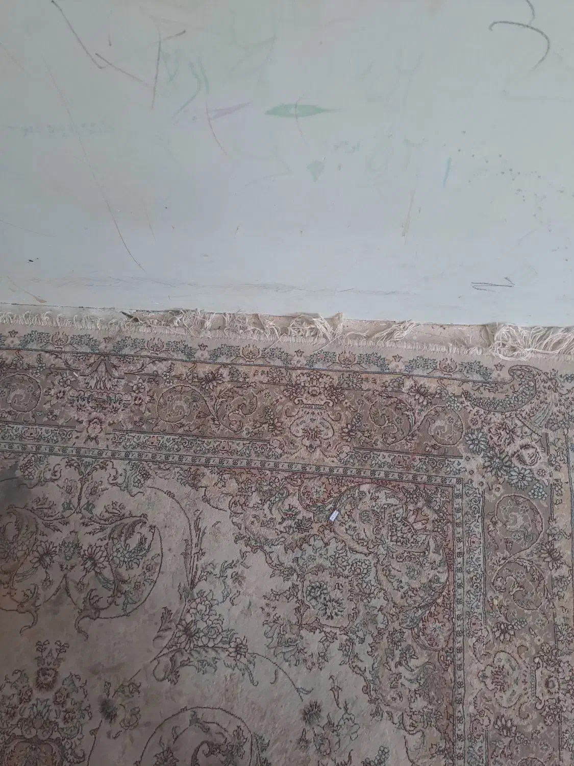 فرش ماشینی|فرش|مراغه, |دیوار