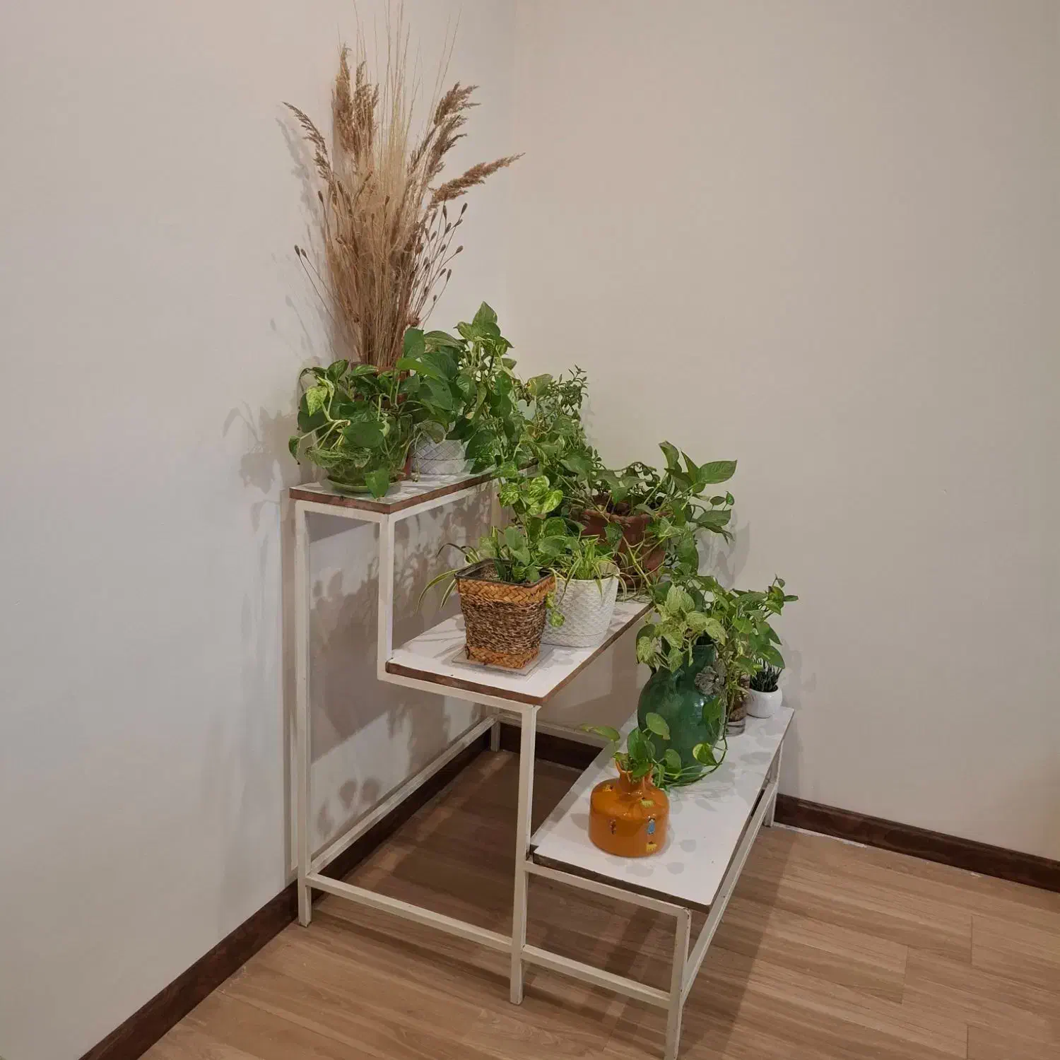 استند گل|گل و گیاه طبیعی|فردیس, خیام غربی|دیوار