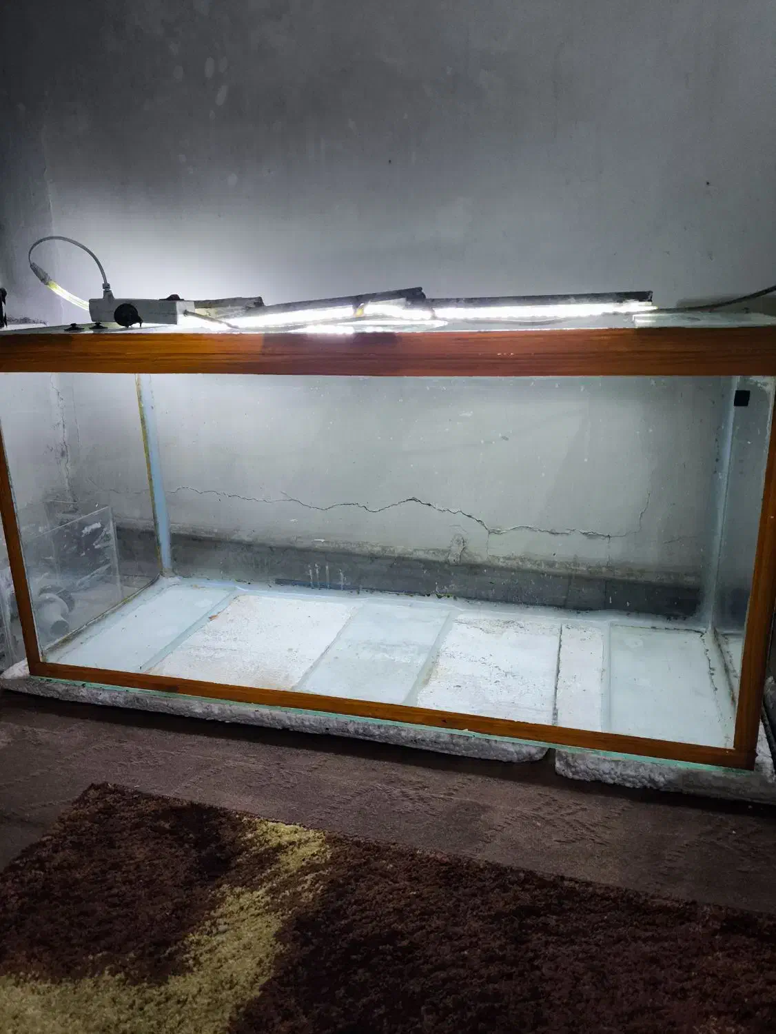 آکواریوم طول 100|ماهی|خمینیشهر, |دیوار