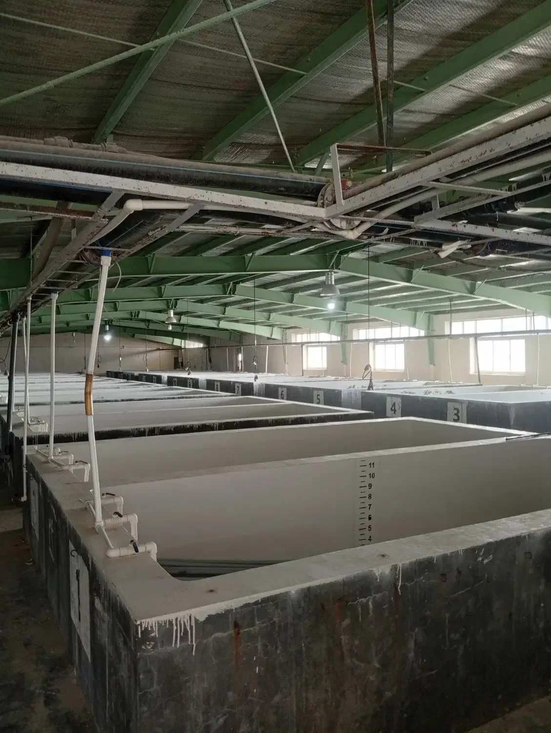 جذب نیرو کار|استخدام صنعتی، فنی، مهندسی|سیریک, |دیوار