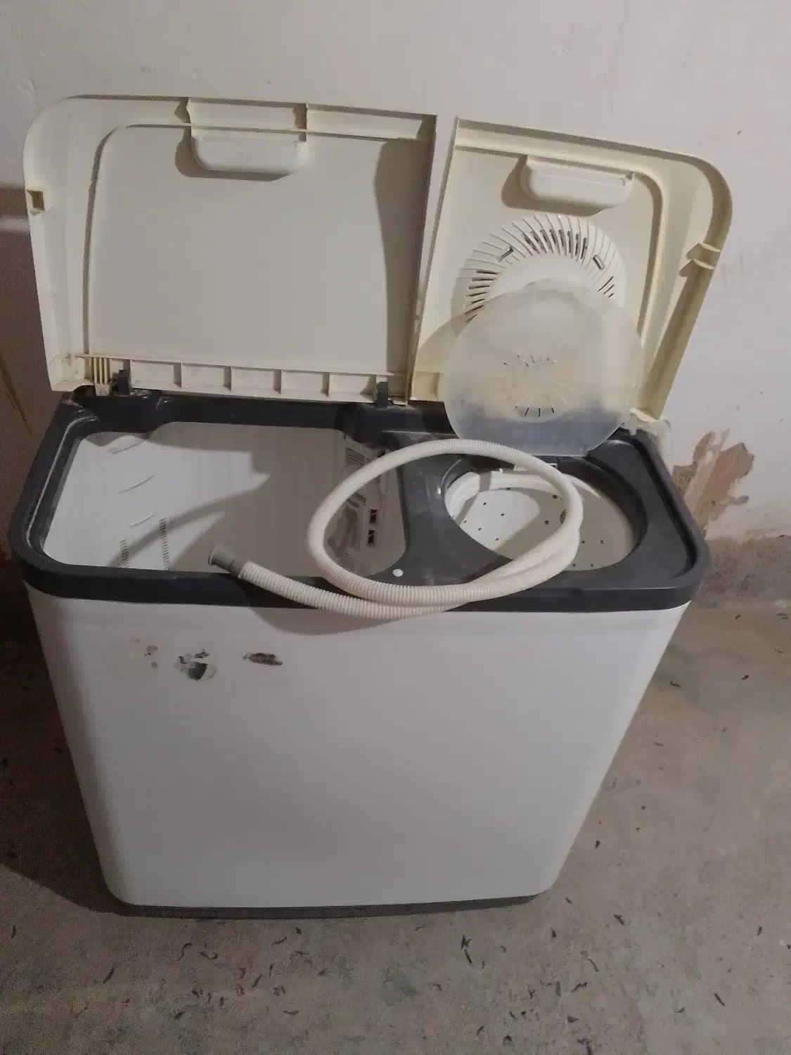 لباسشویی پاکشوما|ماشین لباسشویی و خشک‌کن لباس|تایباد, |دیوار