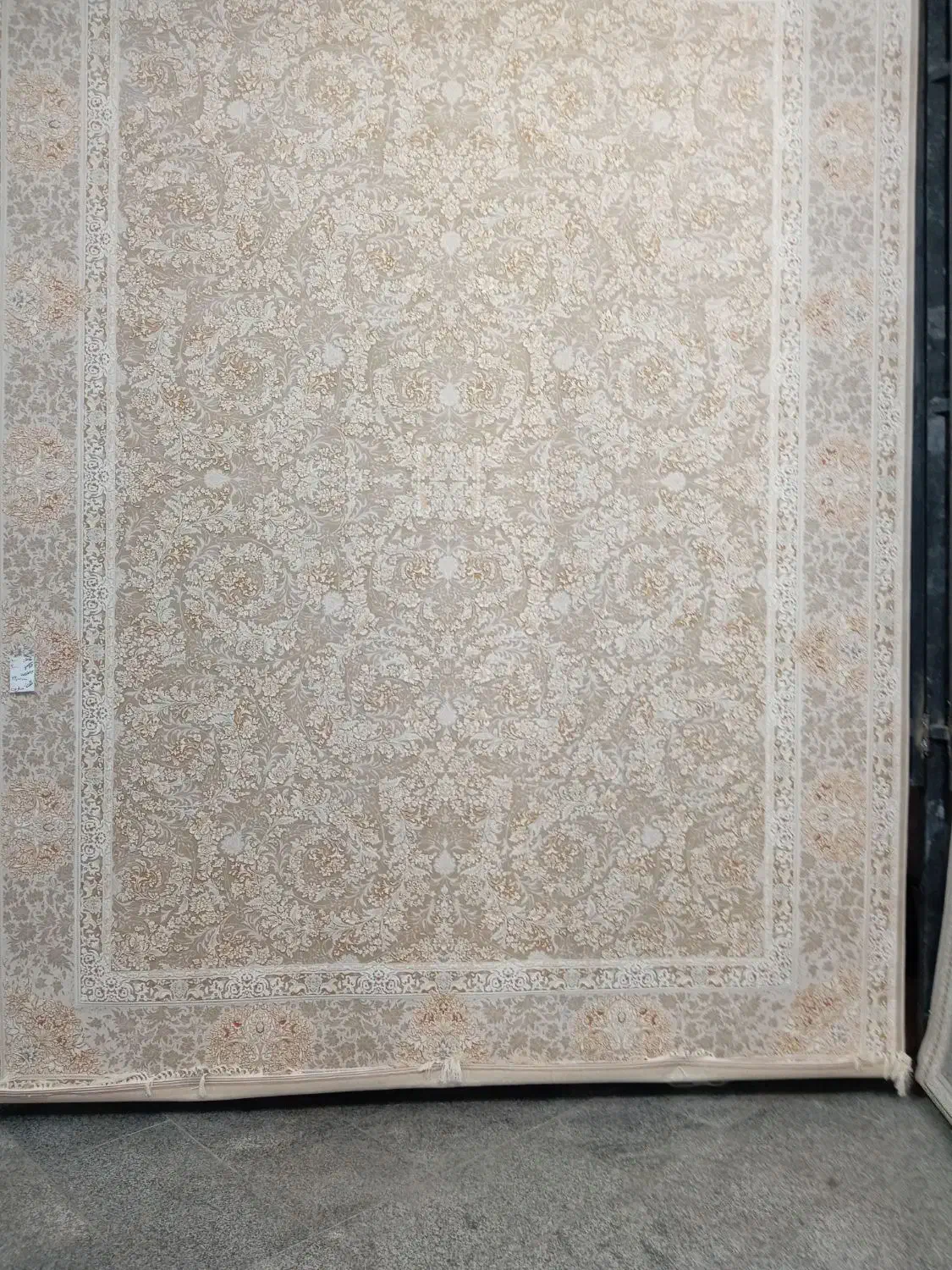 12متری|فرش|قوچان, |دیوار