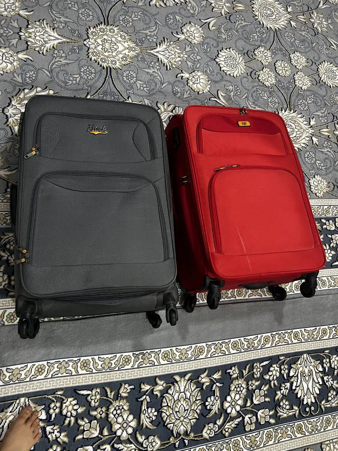 چمدان بزرگ|کیف، کفش، کمربند|ابهر, |دیوار