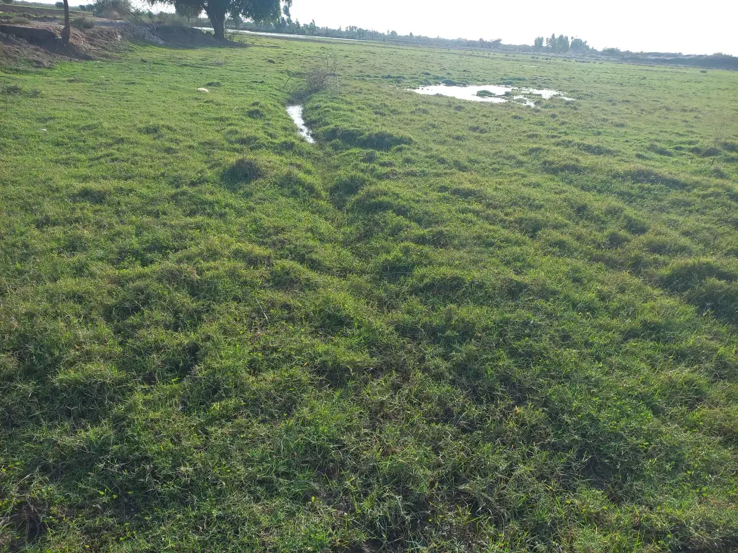 معاوضه خانه مسکونی با باغ ویلا|فروش خانه و ویلا|اندیمشک, |دیوار