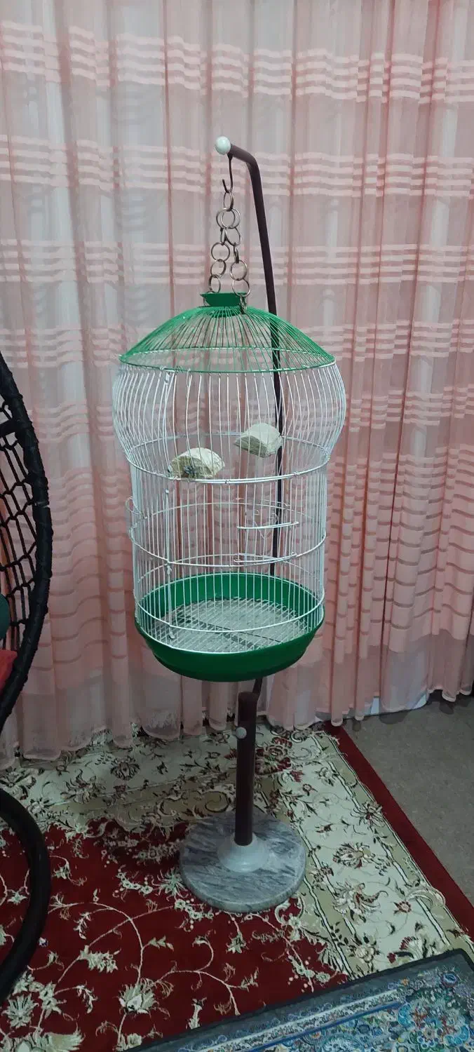 قفس پرنده|لوازم جانبی حیوانات|کرمانشاه, |دیوار