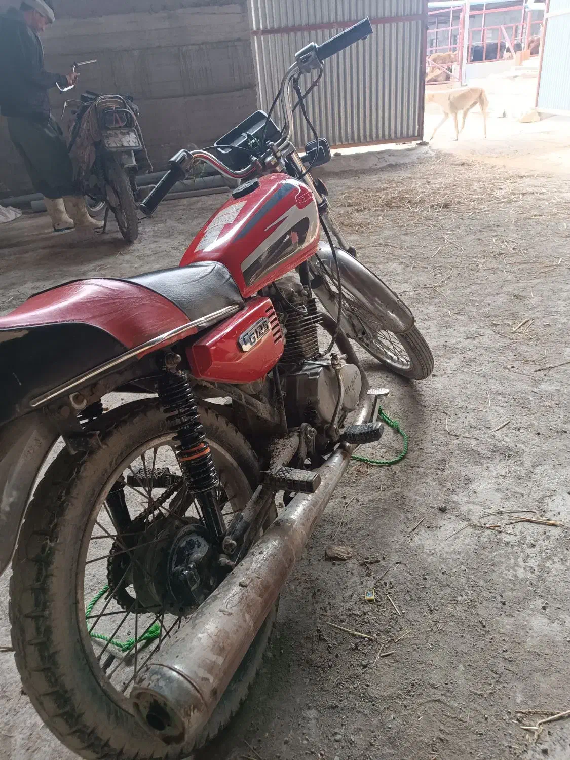 موتور125مزایده موتور درحد|موتورسیکلت|سیجوال, |دیوار