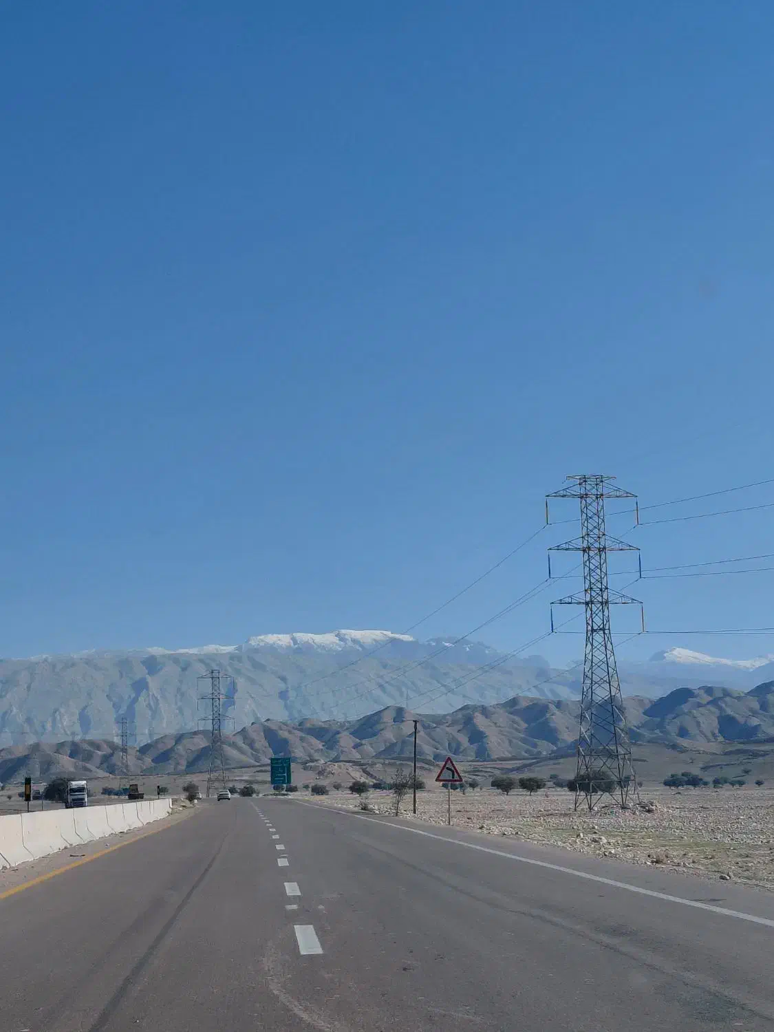 کبوتر پلاکی|حیوانات|بندر ماهشهر, |دیوار