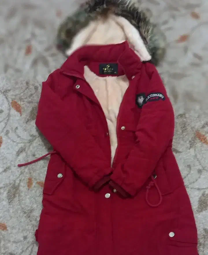 پالتو توخز|لباس|سقز, |دیوار