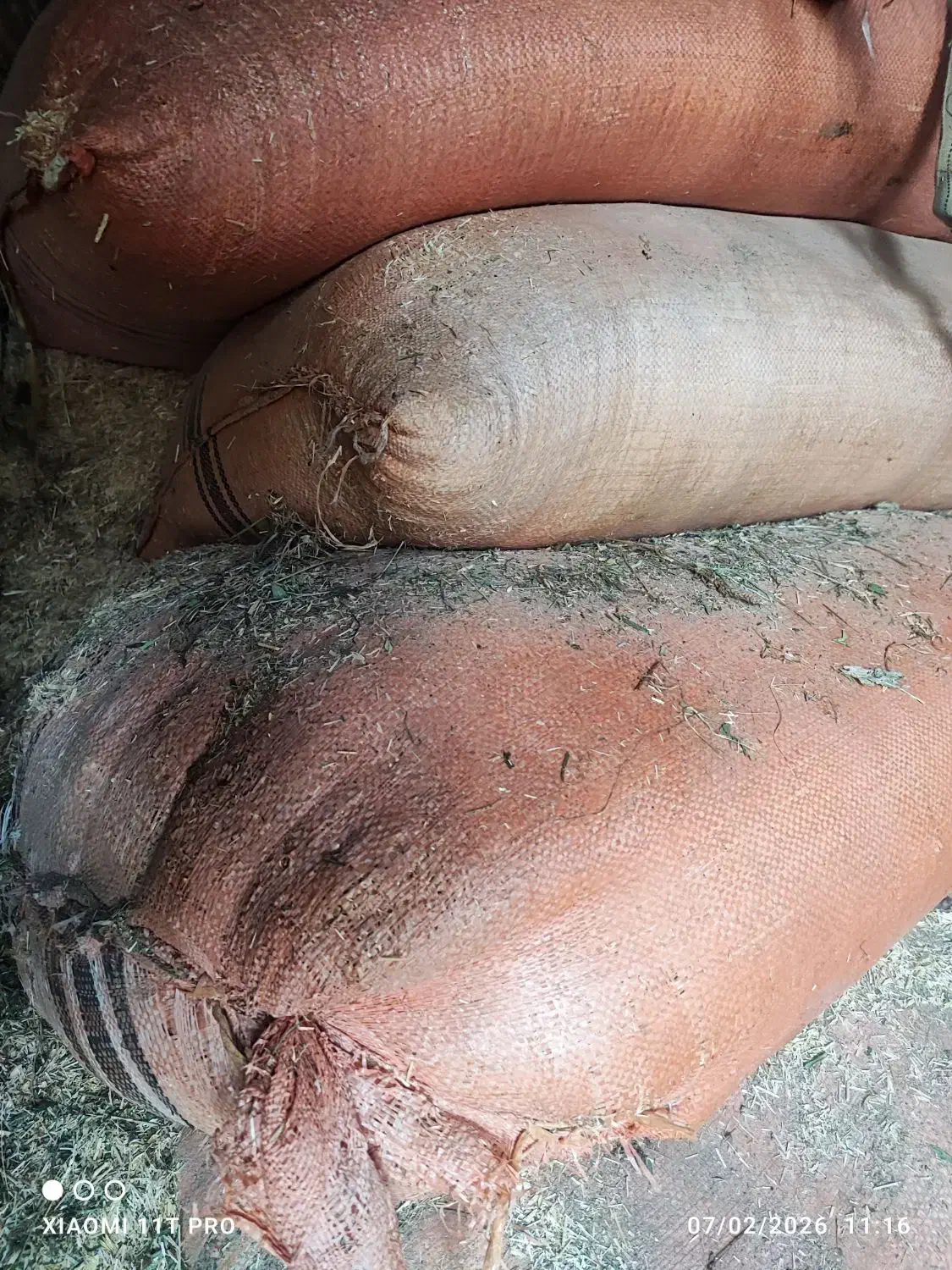 کاه|لوازم جانبی حیوانات|سیلوانه, |دیوار