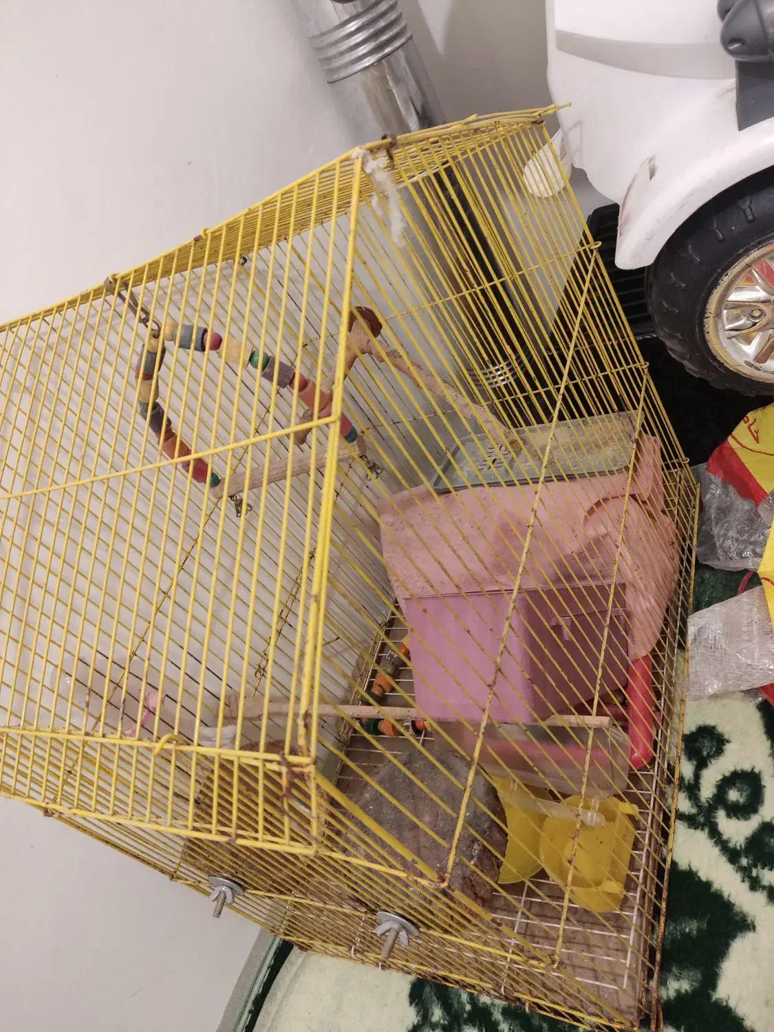 قفس پرنده|لوازم جانبی حیوانات|پردیس, فاز ۱۱|دیوار